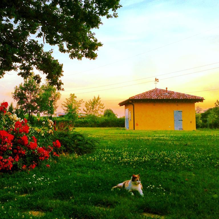 Vigorso 41 Country House Budrio  Exterior photo